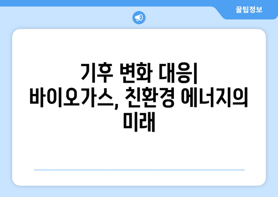 바이오가스 생산에서 탄소 포집 및 저장| 온실 가스 배출 감소 전략 | 지속가능한 에너지 생산, 기후 변화 대응