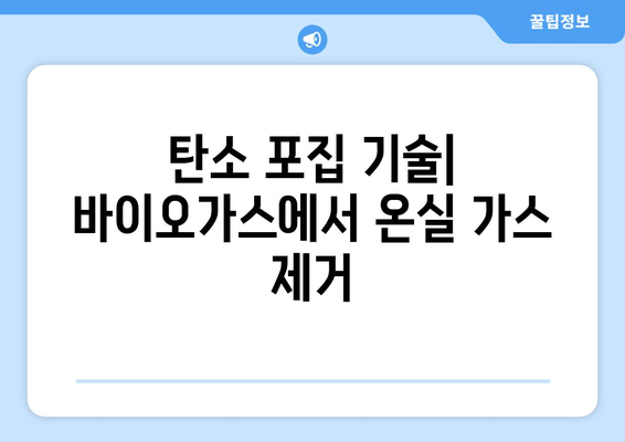 바이오가스 생산에서 탄소 포집 및 저장| 온실 가스 배출 감소 전략 | 지속가능한 에너지 생산, 기후 변화 대응