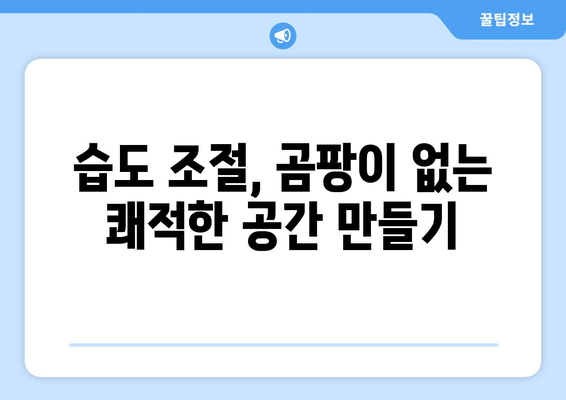 장마철 집 안 습기 제거 완벽 가이드| 곰팡이 걱정 끝! | 습기 제거 팁, 습도 조절, 제습기 추천, 곰팡이 예방