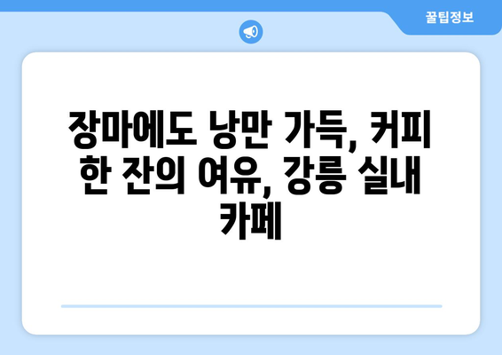 장마철에도 ☔️ 멈추지 않는 강릉 여행! 🌊 추천 코스 6선 | 강릉 여행, 장마철 여행, 비오는 날 여행, 실내 데이트, 가족 여행