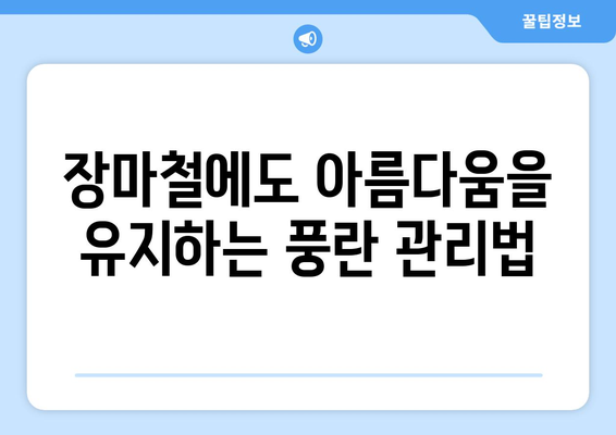 습한 장마철에도 아름다운 자태를 뽐내는 풍란꽃 | 풍란, 장마, 꽃, 관리, 팁