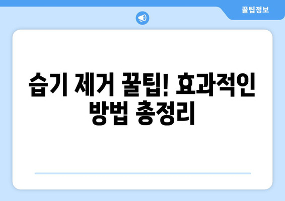 장마철 집 안 습기 제거 완벽 가이드| 곰팡이 걱정 끝! | 습기 제거 팁, 습도 조절, 제습기 추천, 곰팡이 예방