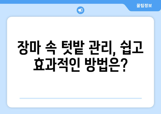 장마철에도 끄떡없는 풍년! 강낭콩과 토마토 재배 가이드 | 장마철, 채소 재배, 텃밭, 농사 팁