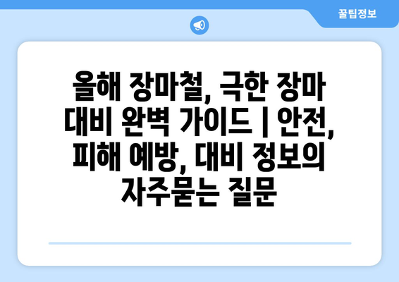 올해 장마철, 극한 장마 대비 완벽 가이드 | 안전, 피해 예방, 대비 정보