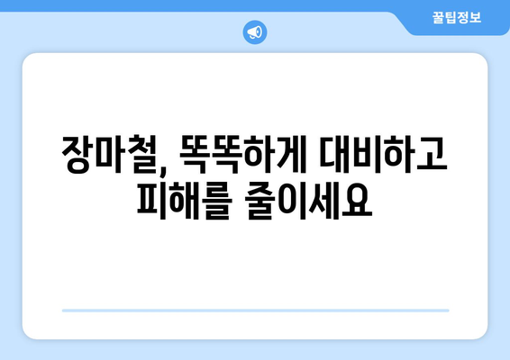 2024년 장마철, 안전하고 슬기로운 대비 가이드 | 장마, 안전, 대비, 정보