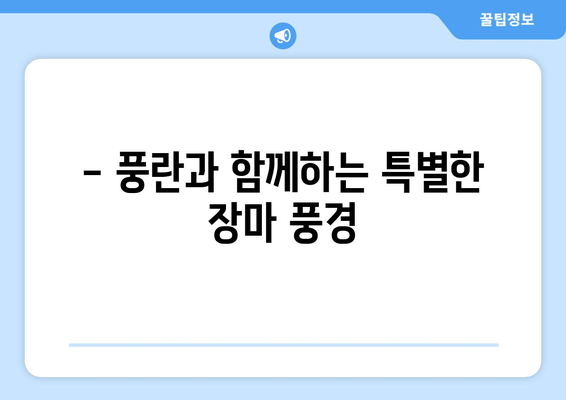 장마 속에도 아름다움을 피워내는 풍란꽃| 빗속의 풍경과 관리법 | 풍란, 난초, 장마철 관리, 꽃