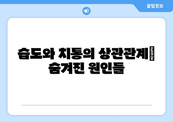 장마철 치통, 왜? ☔️  원인 분석과 효과적인 대비법 | 치통, 장마, 구강 건강, 치과