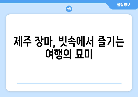 제주의 장마기간| 빗물이 가득한 일상 속 즐길거리 & 대비법 | 여행, 축제, 맛집, 숙소, 안전 정보