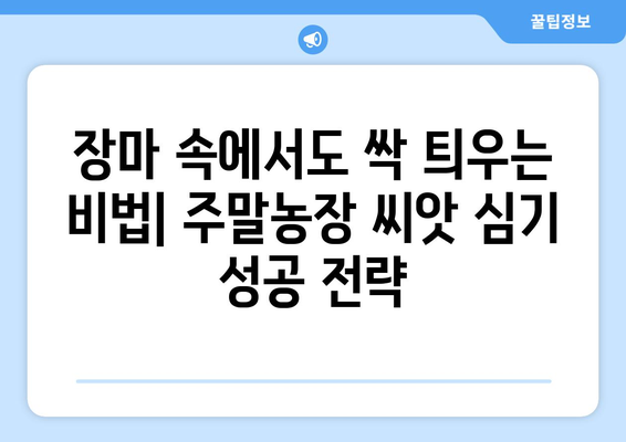 장마철에도 끄떡없다! 주말농장 씨앗 심기 성공 가이드 | 장마, 농사, 주말농장, 씨앗, 심기, 팁