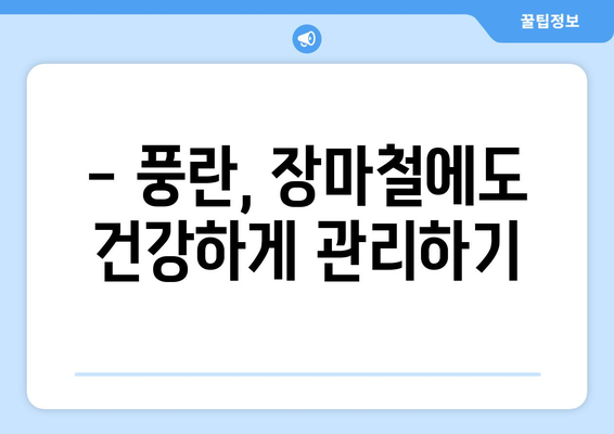 장마 속에도 아름다움을 피워내는 풍란꽃| 빗속의 풍경과 관리법 | 풍란, 난초, 장마철 관리, 꽃