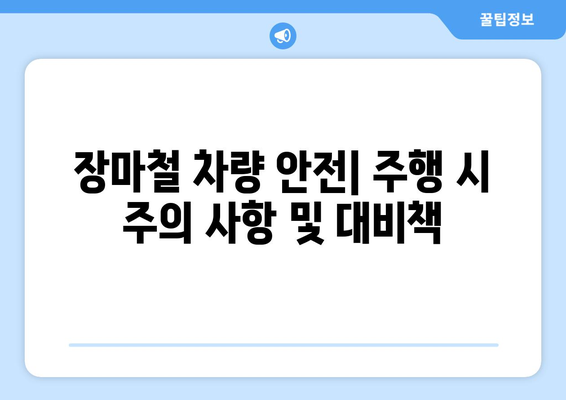 올해 장마철, 극한 장마 대비 완벽 가이드 | 안전, 피해 예방, 대비 정보