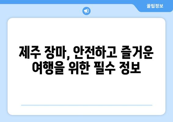 제주의 장마기간| 빗물이 가득한 일상 속 즐길거리 & 대비법 | 여행, 축제, 맛집, 숙소, 안전 정보