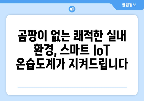 장마철 습도 관리, 스마트 IoT 온습도계로 똑똑하게! | 장마, 습도, 곰팡이, 실내 환경, IoT, 온습도 측정, 스마트 홈