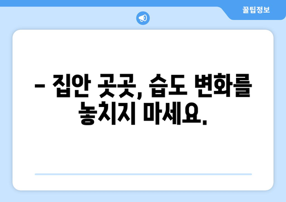 장마철 습기, 이제 걱정 끝! IoT 온습도계로 똑똑하게 공간 관리하기 | 습도 조절, 곰팡이 예방, 실시간 모니터링