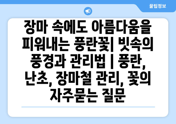 장마 속에도 아름다움을 피워내는 풍란꽃| 빗속의 풍경과 관리법 | 풍란, 난초, 장마철 관리, 꽃