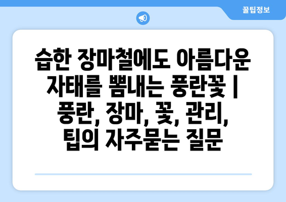 습한 장마철에도 아름다운 자태를 뽐내는 풍란꽃 | 풍란, 장마, 꽃, 관리, 팁