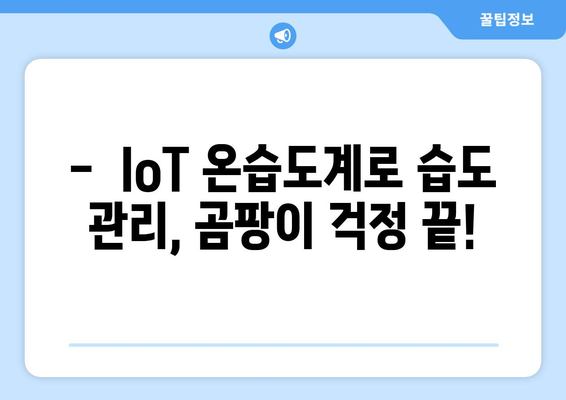 장마철 습기, 이제 걱정 끝! IoT 온습도계로 똑똑하게 공간 관리하기 | 습도 조절, 곰팡이 예방, 실시간 모니터링