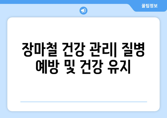 올해 장마철, 극한 장마 대비 완벽 가이드 | 안전, 피해 예방, 대비 정보