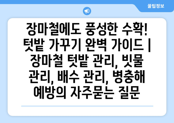 장마철에도 풍성한 수확! 텃밭 가꾸기 완벽 가이드 | 장마철 텃밭 관리, 빗물 관리, 배수 관리, 병충해 예방