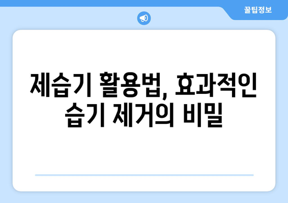 장마철 집안 습기 제거 완벽 가이드| 곰팡이, 악취, 눅눅함 해결 | 습기 제거 팁, 제습기 활용, 천연 제습제, 효과적인 방법