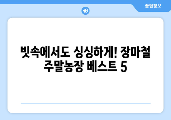 장마에도 풍년! 주말농장, 비 맞아도 잘 자라는 작물 5가지 추천 | 장마철 주말농장, 농작물, 재배 팁