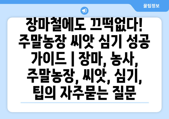 장마철에도 끄떡없다! 주말농장 씨앗 심기 성공 가이드 | 장마, 농사, 주말농장, 씨앗, 심기, 팁