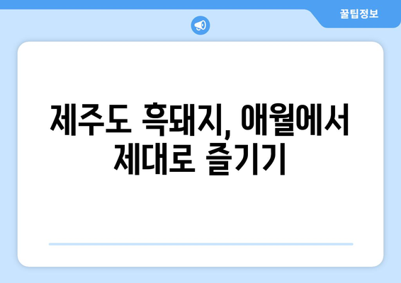 제주 애월 흑돼지 맛집, 빈틈 없는 완벽함| 5곳 추천 | 제주도 맛집, 애월 맛집, 흑돼지 맛집, 제주 여행