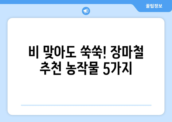 장마에도 풍년! 주말농장, 비 맞아도 잘 자라는 작물 5가지 추천 | 장마철 주말농장, 농작물, 재배 팁