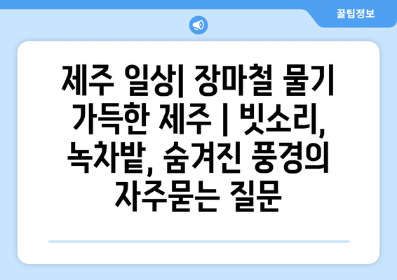 제주 일상| 장마철 물기 가득한 제주 | 빗소리, 녹차밭, 숨겨진 풍경