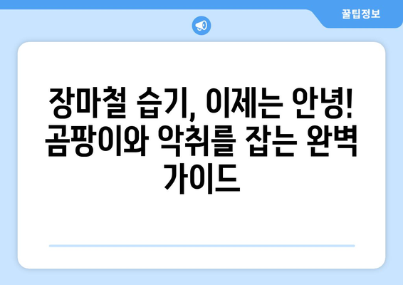 장마철 집안 습기 제거 완벽 가이드| 곰팡이, 악취, 눅눅함 해결 | 습기 제거 팁, 제습기 활용, 천연 제습제, 효과적인 방법