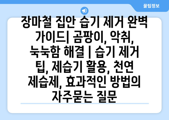 장마철 집안 습기 제거 완벽 가이드| 곰팡이, 악취, 눅눅함 해결 | 습기 제거 팁, 제습기 활용, 천연 제습제, 효과적인 방법