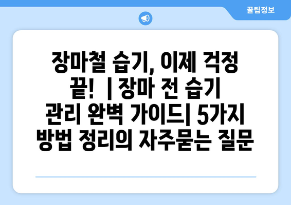 장마철 습기, 이제 걱정 끝!  | 장마 전 습기 관리 완벽 가이드| 5가지 방법 정리