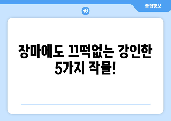 장마에도 풍년! 주말농장, 비 맞아도 잘 자라는 작물 5가지 추천 | 장마철 주말농장, 농작물, 재배 팁