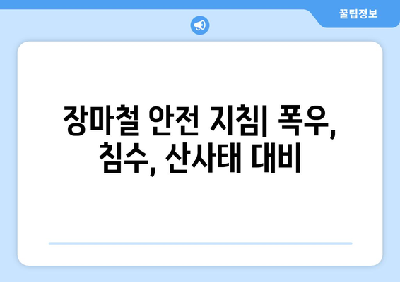 올해 장마철, 극한 장마 대비 완벽 가이드 | 안전, 피해 예방, 대비 정보